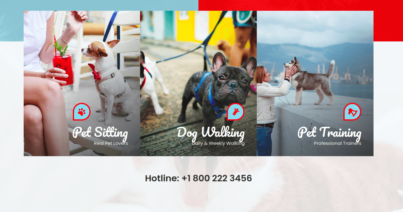 Pet sitter